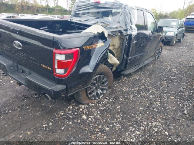 Photo 3 VIN: 1FTEW1E89MFC16859 - FORD F-150 