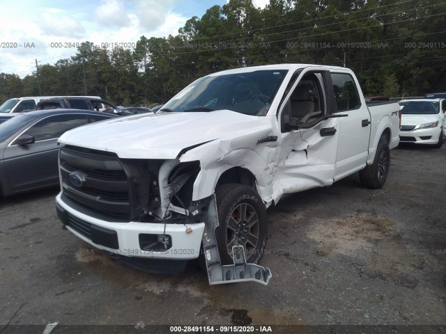 Photo 1 VIN: 1FTEW1E8XFFC13052 - FORD F-150 