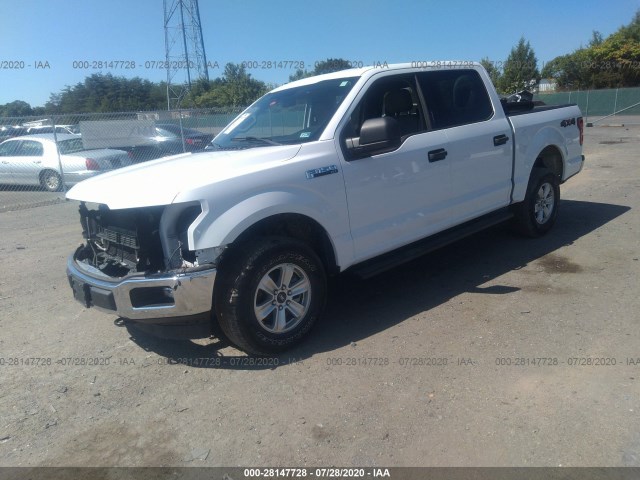 Photo 1 VIN: 1FTEW1EB0JFA96991 - FORD F-150 