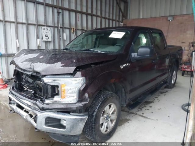 Photo 1 VIN: 1FTEW1EB2JKD72904 - FORD F-150 