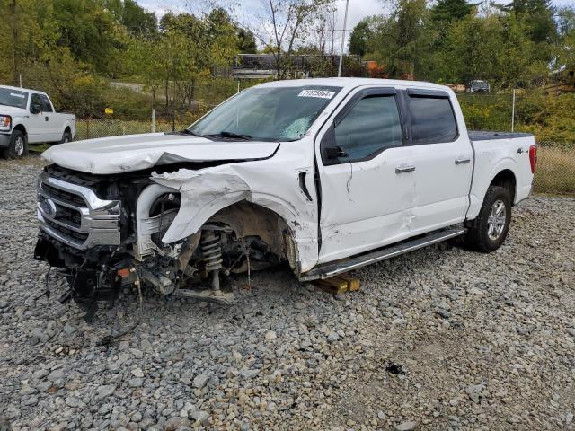 Photo 0 VIN: 1FTEW1EB2PKD32878 - FORD F150 SUPER 