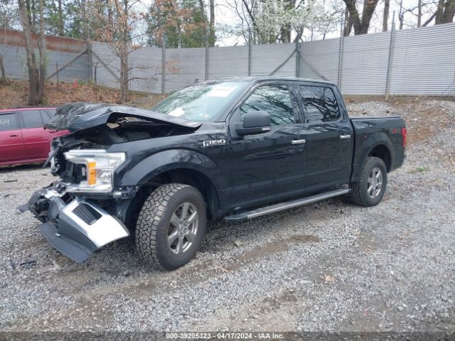 Photo 1 VIN: 1FTEW1EB8LFB13751 - FORD F150 