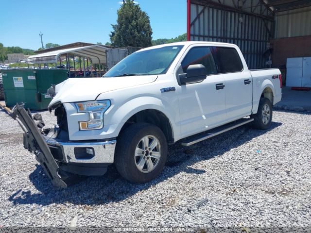 Photo 1 VIN: 1FTEW1EF0GFA16469 - FORD F-150 