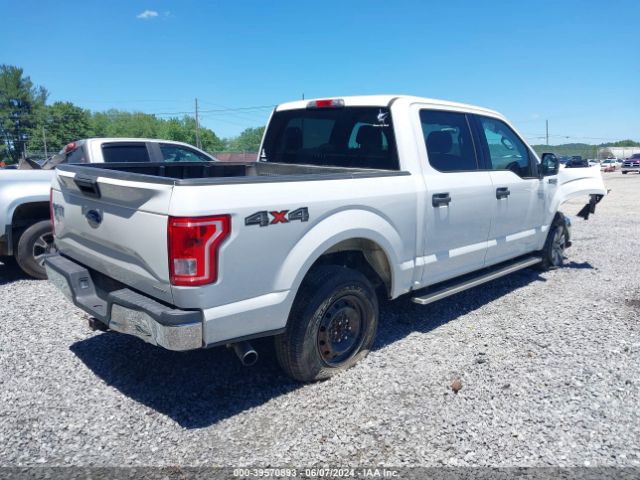 Photo 3 VIN: 1FTEW1EF0GFA16469 - FORD F-150 