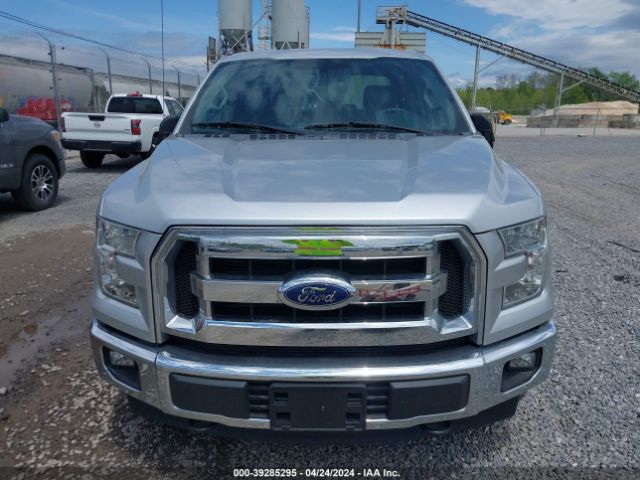 Photo 5 VIN: 1FTEW1EF0HFA63759 - FORD F-150 