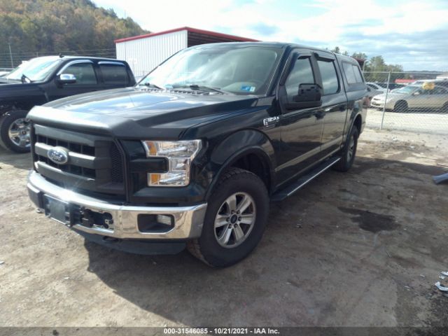 Photo 1 VIN: 1FTEW1EF1FFB21942 - FORD F-150 