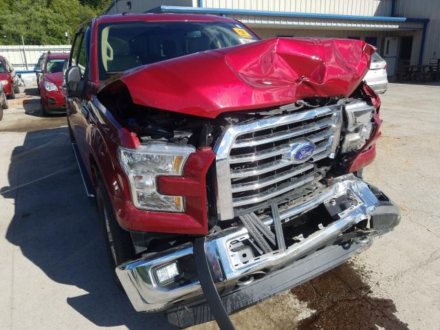 Photo 8 VIN: 1FTEW1EF1FFB67996 - FORD F150 SUPER 