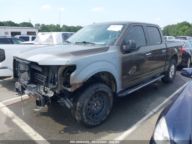 Photo 1 VIN: 1FTEW1EF1FFC25556 - FORD F-150 