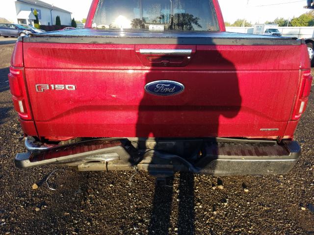 Photo 8 VIN: 1FTEW1EF1GFD52423 - FORD F150 SUPER 