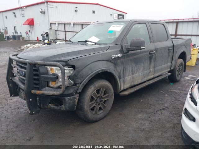 Photo 1 VIN: 1FTEW1EF1GKG00452 - FORD F-150 