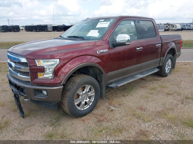 Photo 1 VIN: 1FTEW1EF2FFB97928 - FORD F-150 