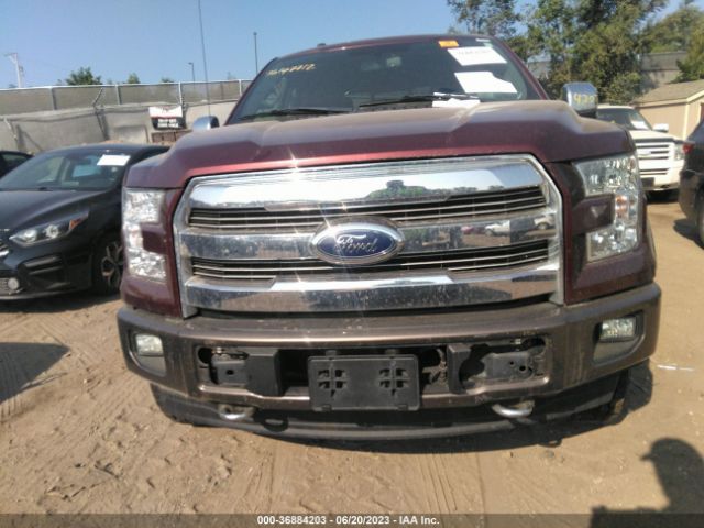 Photo 5 VIN: 1FTEW1EF2FFB97928 - FORD F-150 