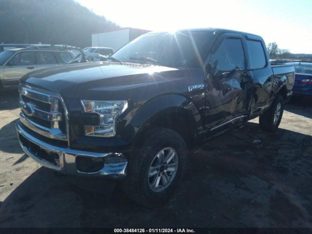 Photo 1 VIN: 1FTEW1EF2FFC43807 - FORD F-150 