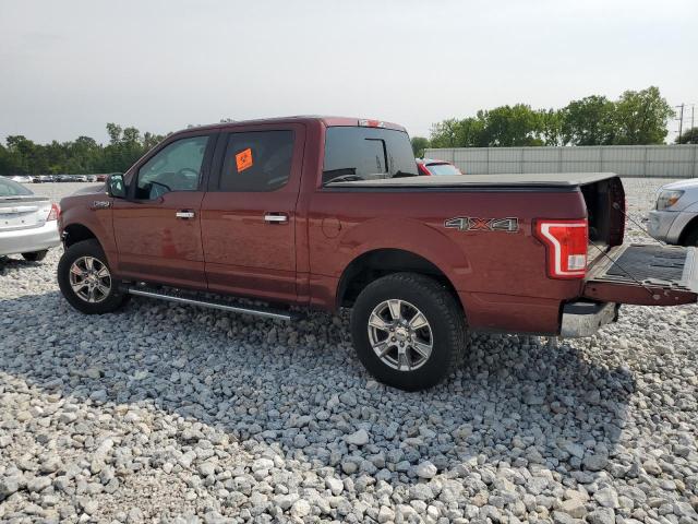 Photo 1 VIN: 1FTEW1EF2GFB76613 - FORD F150 SUPER 