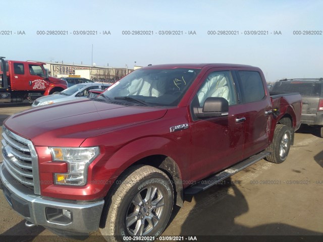 Photo 1 VIN: 1FTEW1EF2GFC82852 - FORD F-150 