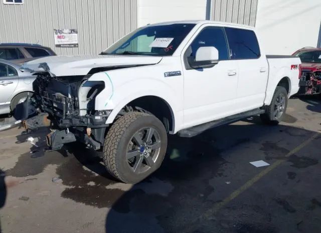 Photo 1 VIN: 1FTEW1EF2GKD73384 - FORD F-150 