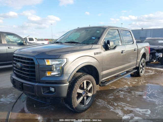 Photo 1 VIN: 1FTEW1EF2GKF66313 - FORD F-150 