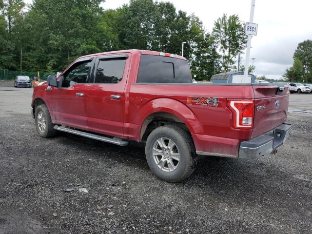 Photo 1 VIN: 1FTEW1EF3GFA06650 - FORD F-150 