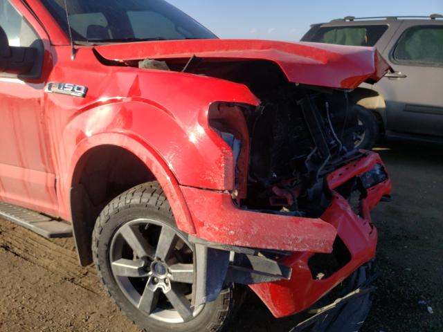 Photo 8 VIN: 1FTEW1EF3GFC56602 - FORD F150 SUPER 