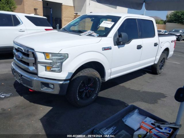 Photo 1 VIN: 1FTEW1EF3GKD01447 - FORD F-150 