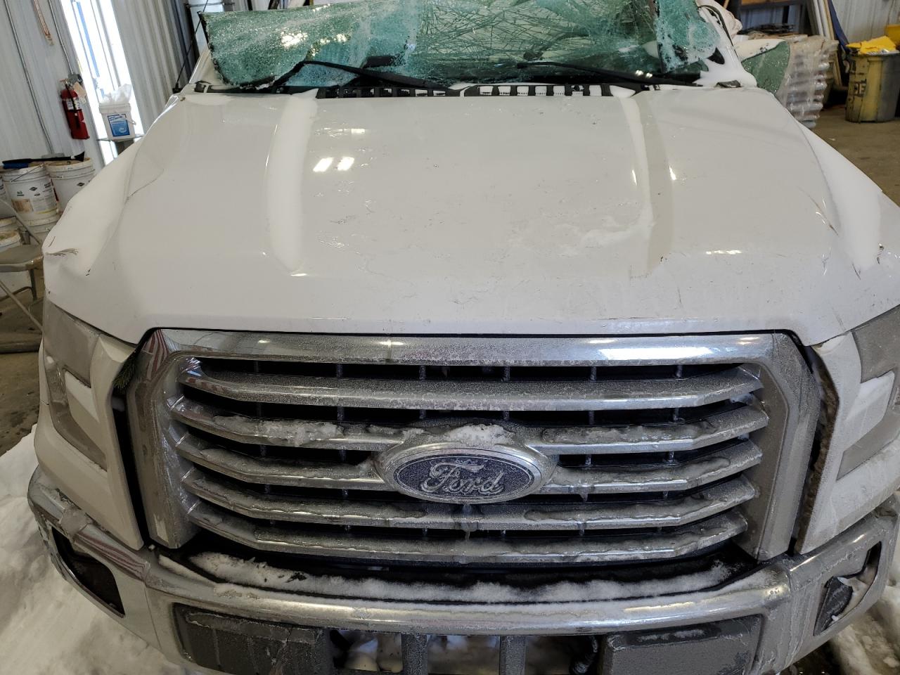 Photo 10 VIN: 1FTEW1EF3GKF08971 - FORD F-150 