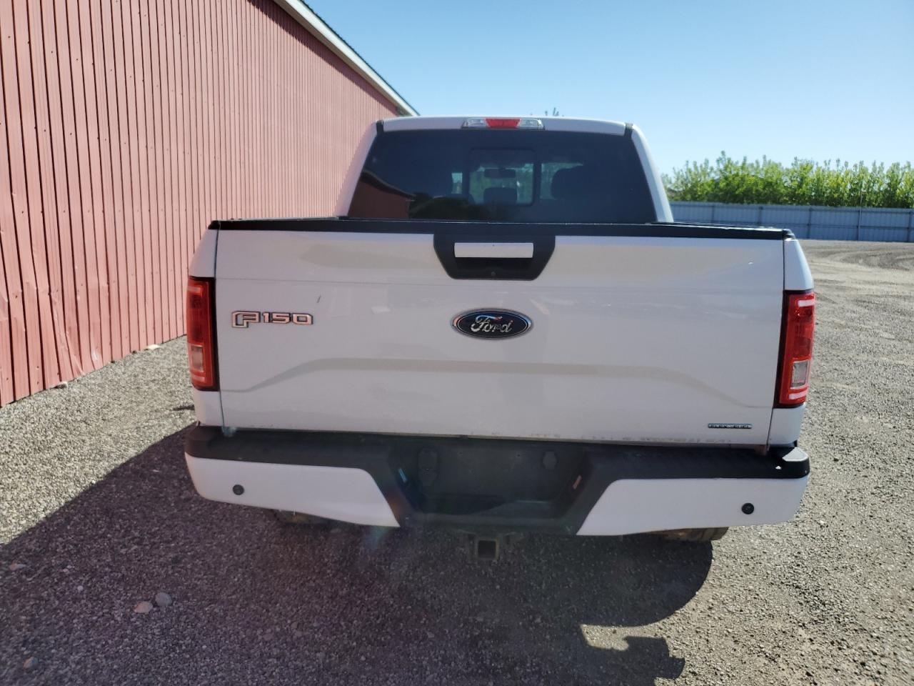 Photo 5 VIN: 1FTEW1EF4FFB64641 - FORD F-150 