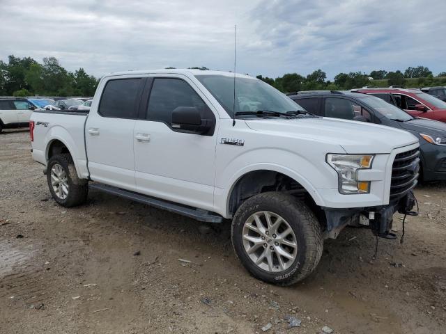 Photo 3 VIN: 1FTEW1EF4GFB88097 - FORD F150 SUPER 