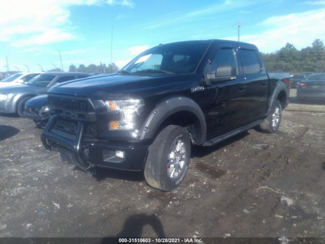 Photo 1 VIN: 1FTEW1EF4GFC17274 - FORD F-150 