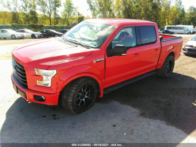 Photo 1 VIN: 1FTEW1EF4GFD37964 - FORD F-150 