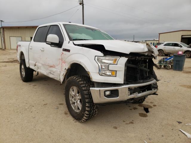 Photo 8 VIN: 1FTEW1EF4GKF79077 - FORD F150 SUPER 