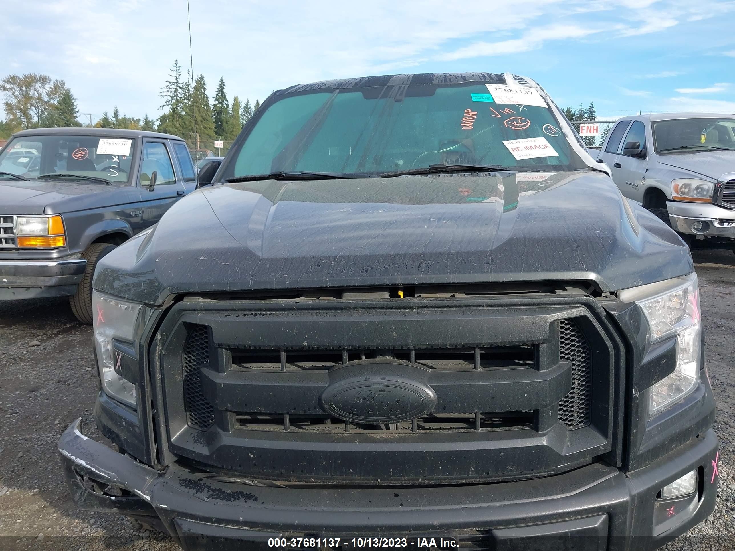 Photo 11 VIN: 1FTEW1EF5FFA60126 - FORD F-150 