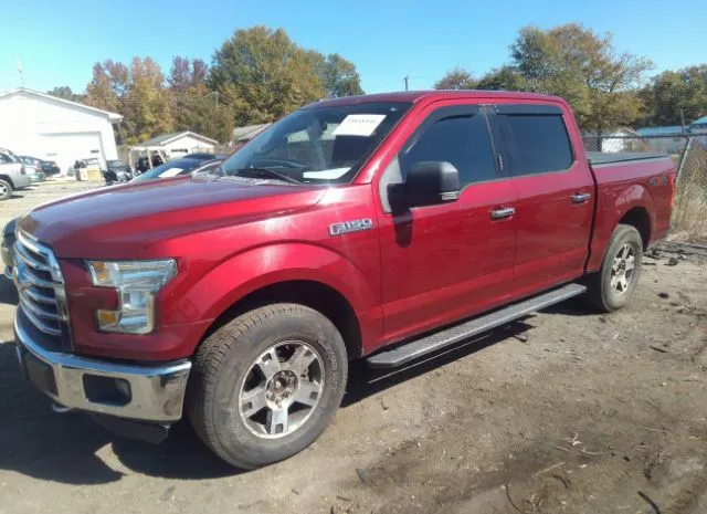 Photo 1 VIN: 1FTEW1EF5FFB86812 - FORD F-150 