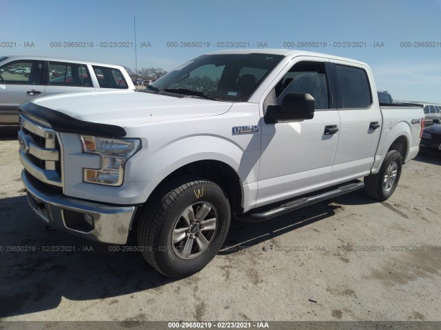 Photo 1 VIN: 1FTEW1EF5FKF16214 - FORD F-150 