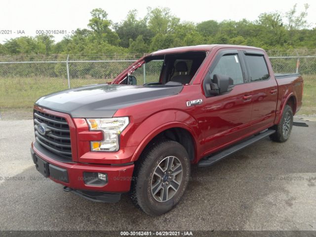 Photo 1 VIN: 1FTEW1EF5GFC78925 - FORD F-150 