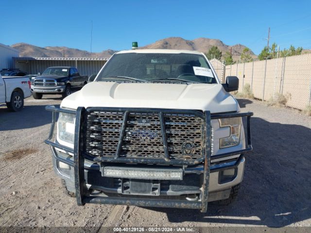 Photo 5 VIN: 1FTEW1EF5HKC13646 - FORD F-150 