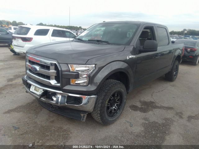 Photo 1 VIN: 1FTEW1EF5HKD74465 - FORD F-150 