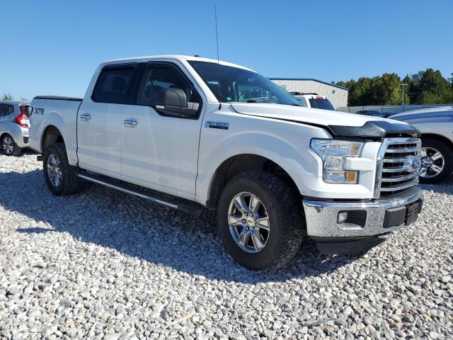 Photo 3 VIN: 1FTEW1EF6FFA13073 - FORD F150 SUPER 