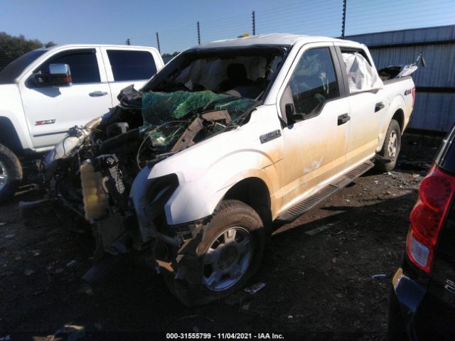 Photo 1 VIN: 1FTEW1EF6FKF07487 - FORD F-150 