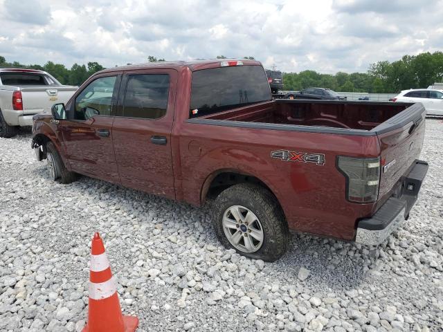 Photo 1 VIN: 1FTEW1EF6FKF10695 - FORD F-150 