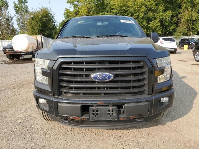 Photo 4 VIN: 1FTEW1EF6GFC20449 - FORD F150 SUPER 