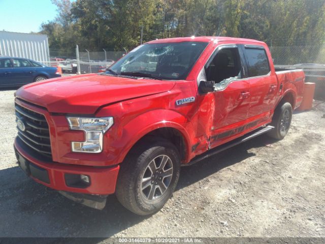 Photo 1 VIN: 1FTEW1EF6HKC32206 - FORD F-150 