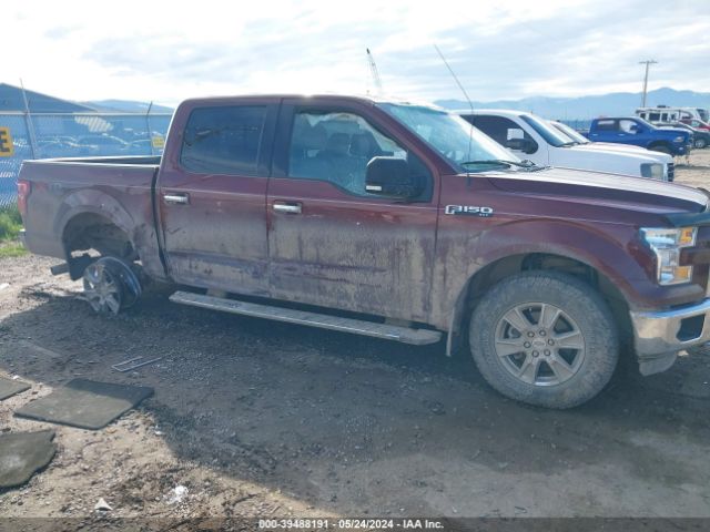 Photo 5 VIN: 1FTEW1EF7FFA03507 - FORD F150 