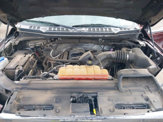 Photo 9 VIN: 1FTEW1EF7FFA03507 - FORD F150 