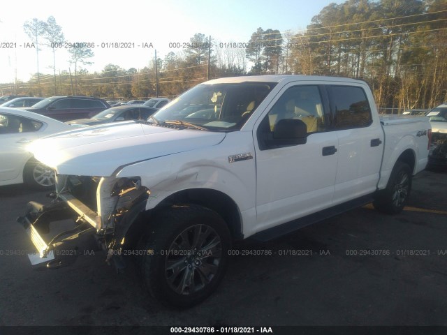 Photo 1 VIN: 1FTEW1EF7FFB46151 - FORD F-150 