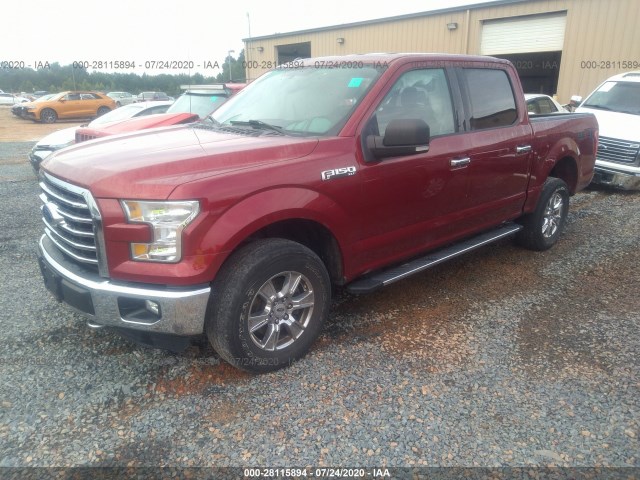 Photo 1 VIN: 1FTEW1EF7FFC45455 - FORD F-150 