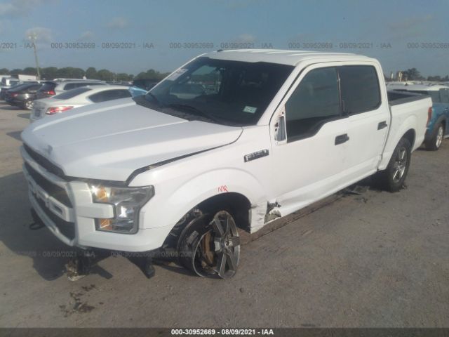 Photo 1 VIN: 1FTEW1EF7FKD82838 - FORD F-150 