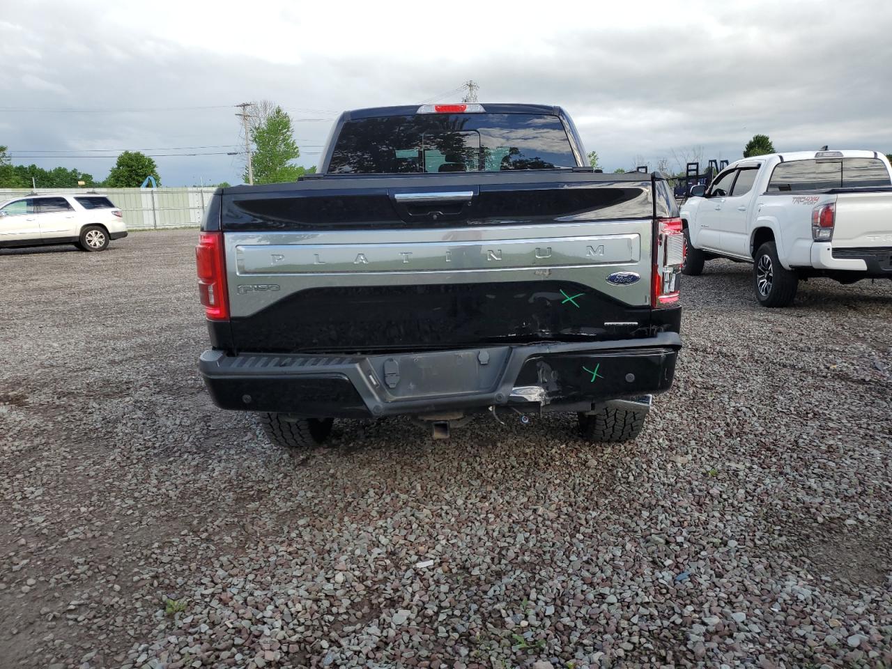 Photo 6 VIN: 1FTEW1EF7GFA10569 - FORD F-150 