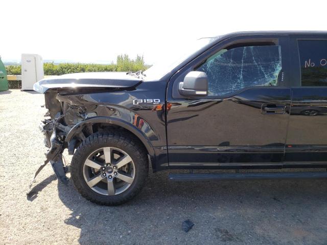 Photo 8 VIN: 1FTEW1EF7GFA36962 - FORD F150 SUPER 