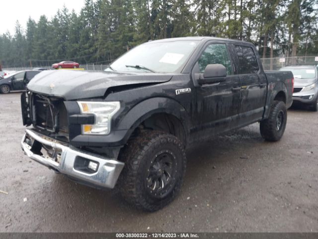 Photo 1 VIN: 1FTEW1EF7GKD00771 - FORD F-150 