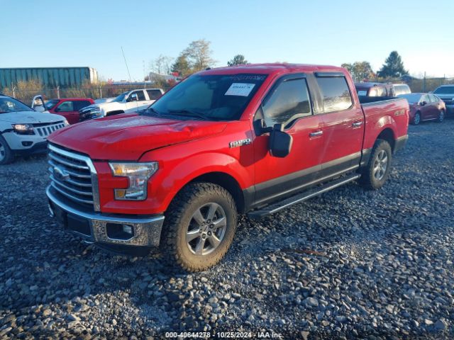 Photo 1 VIN: 1FTEW1EF7GKD14282 - FORD F-150 